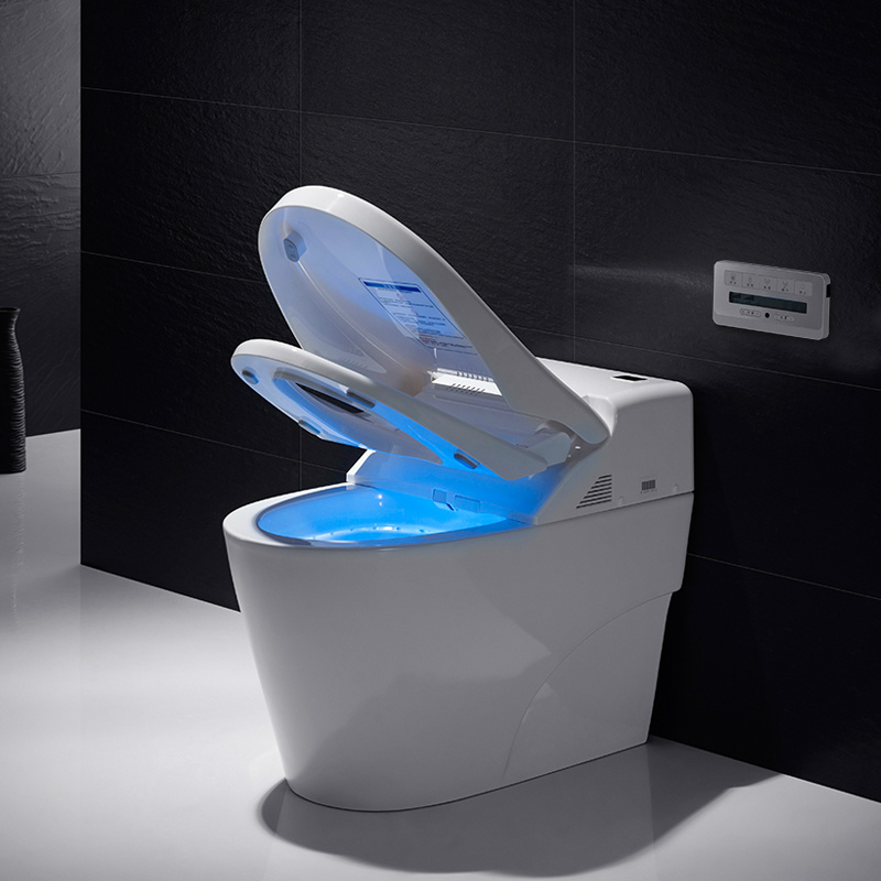 The development of Smart Toilet